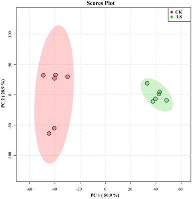 Effect of Lentinus sajor-caju on the chemical composition and antioxidant activity of highland barley straw under solid-state fermentation